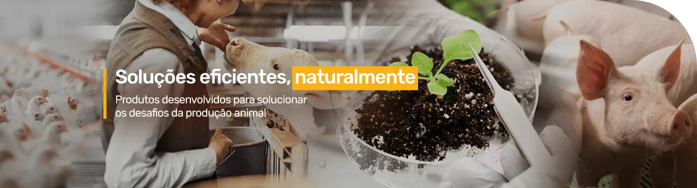 Soluciones naturales, sostenibles y confiables